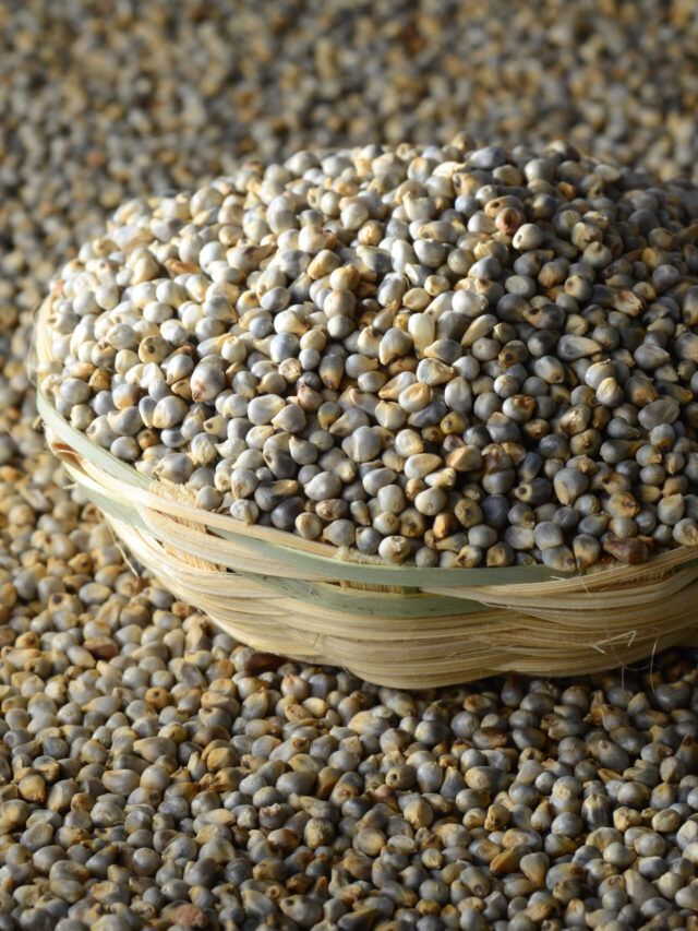 Millet Export