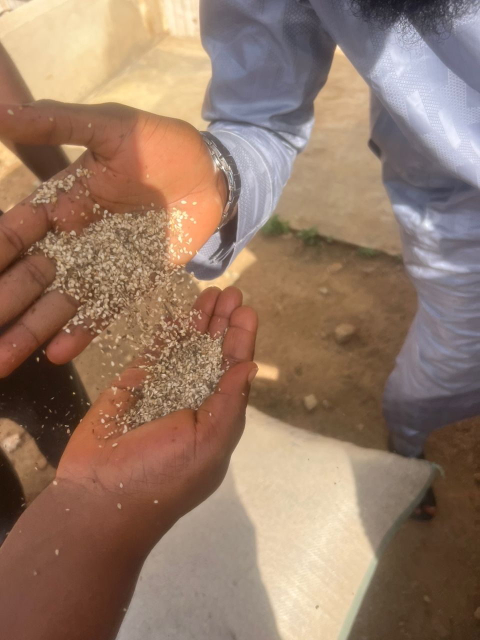 Sesame Seeds Export